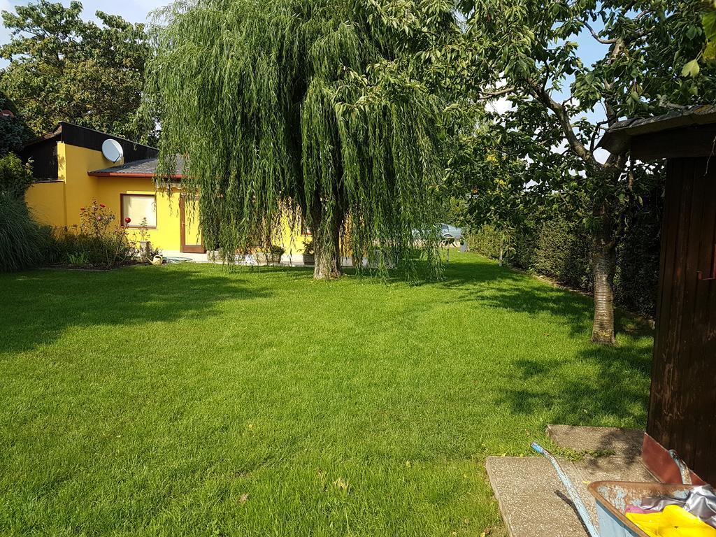 Ferienhaus Christian Sankt Andrä bei Frauenkirchen Εξωτερικό φωτογραφία